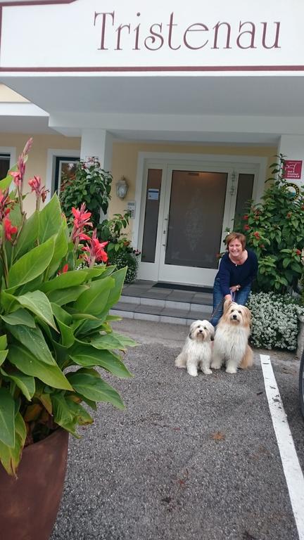 Appartementhaus Tristenau Pertisau Exteriör bild